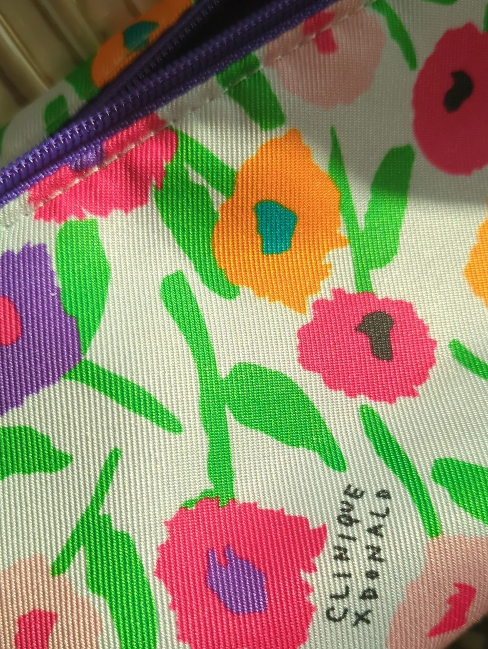 Clinique Cosmetics Bag